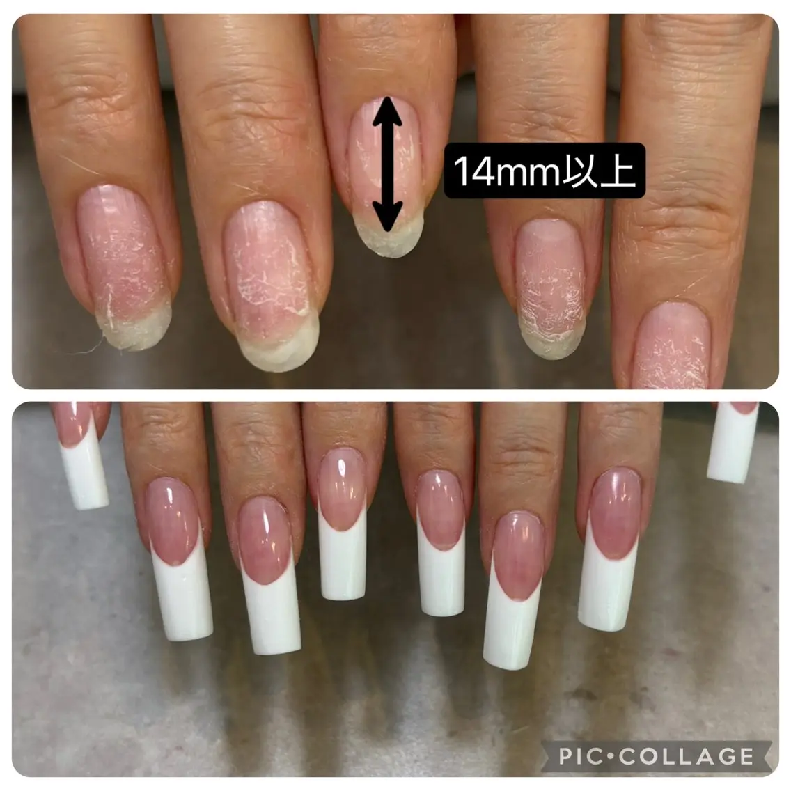 フレスカ練習モデルの写真
