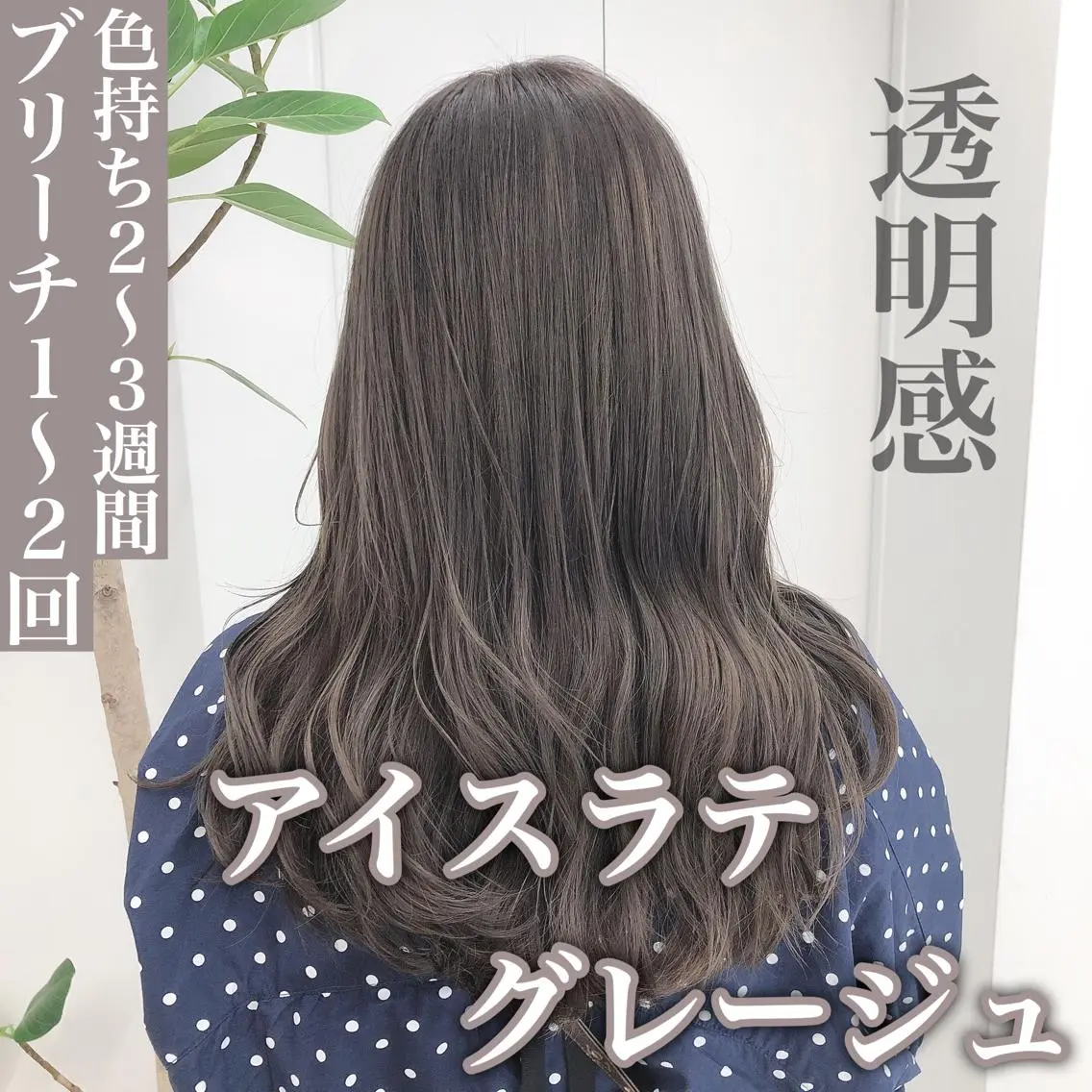 ミディアム カラー 爆美女製造機 レイヤーのプロのヘアスタイル