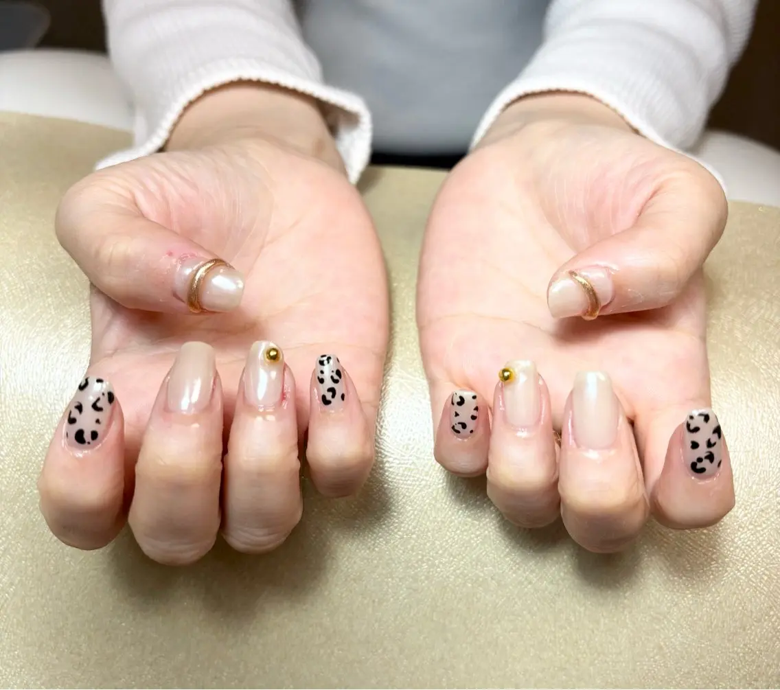 ネイル アニマル柄 オーロラネイル ジェルネイル マグネットネイル ぷっくりネイル ハンドネイル ✨韓国✨nail salonLumieのネイルデザイン