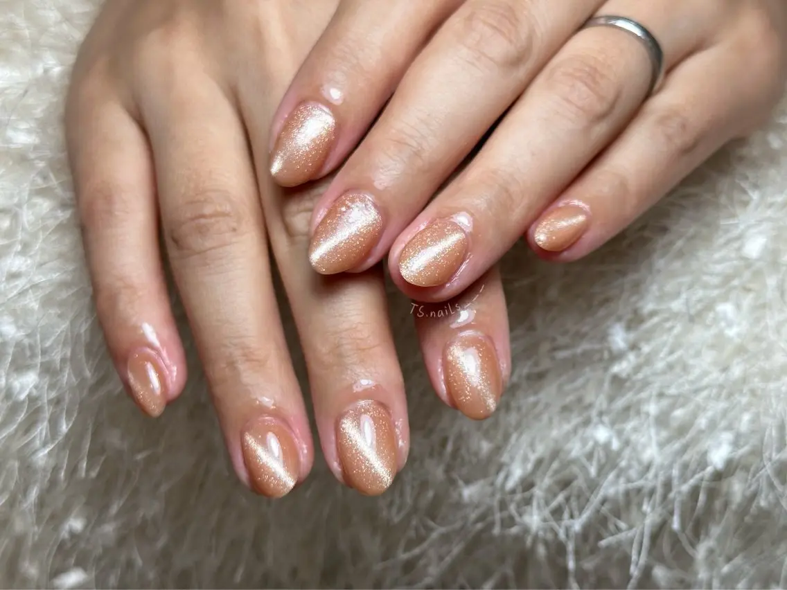 ネイル キラキラネイル マグネットネイル 持ち込み シンプルネイル ハンドネイル ハンドケア TS. nails___のネイルデザイン