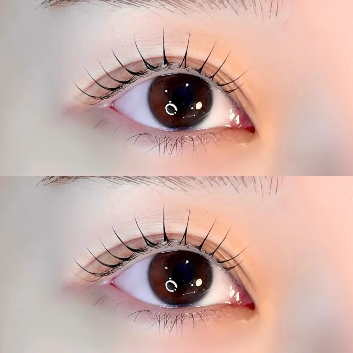 【毛質改善ラッシュリフト】まつ毛パーマ上下set🧡の写真