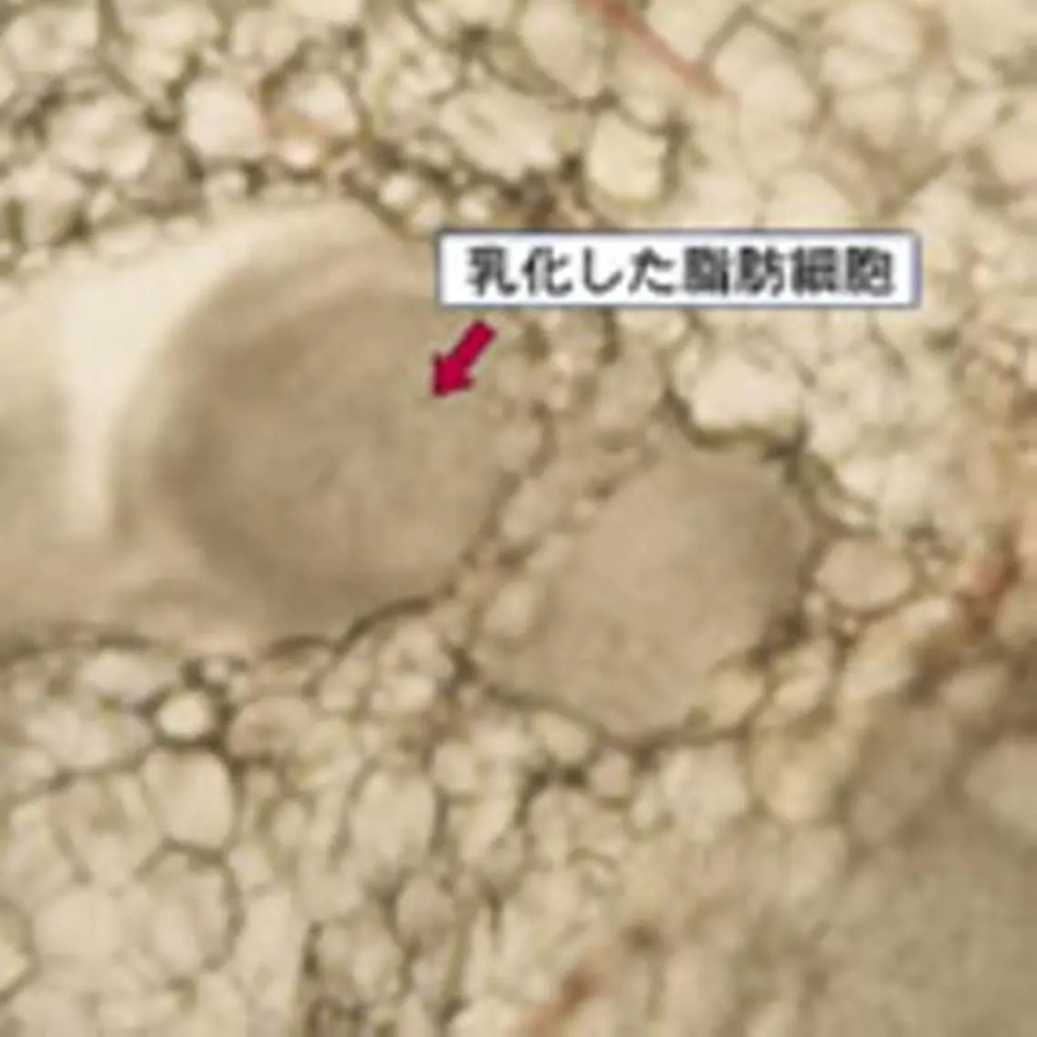 痩身サロンガリシア *池袋店のエステ・リラクイメージ