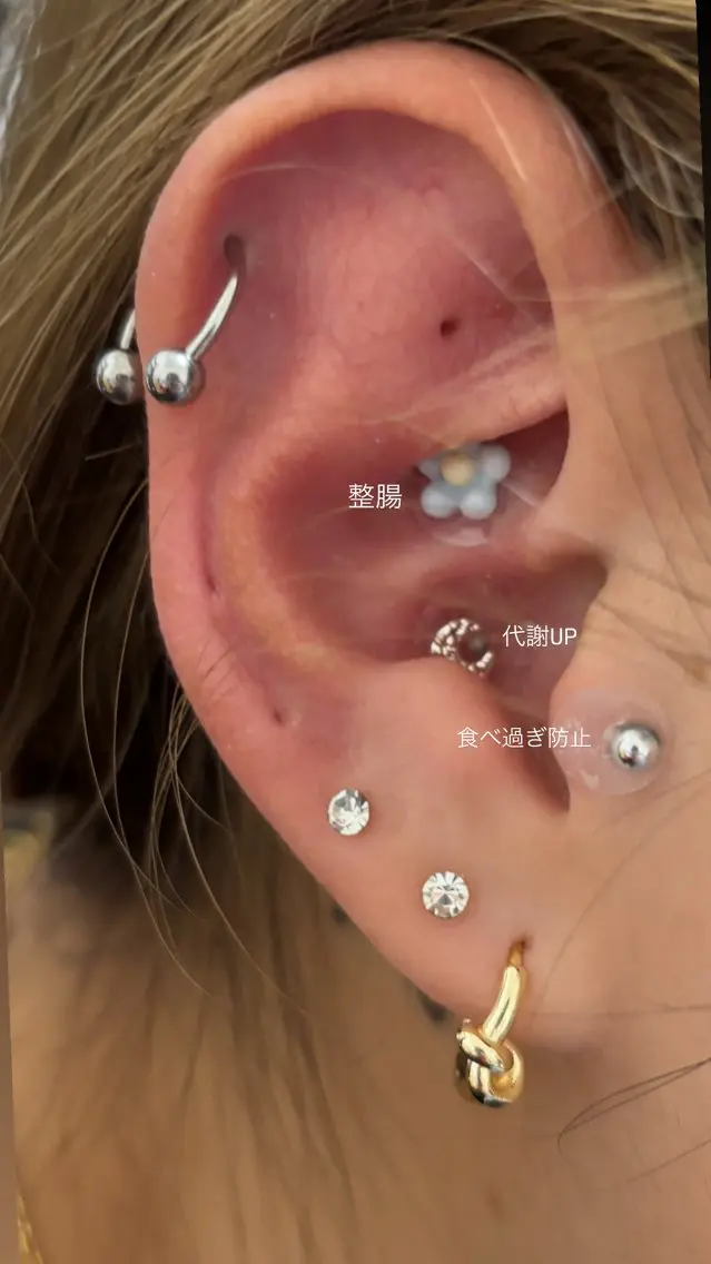 耳ツボジュエリー両耳で6粒💎✨の写真