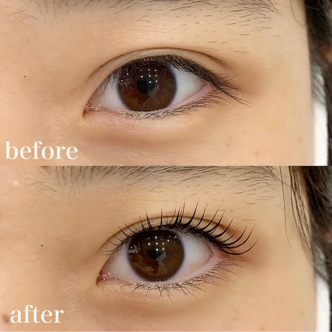 マツエク・マツパ Dカール WHITE EYE 🤍Mayukaの眉毛・アイブロウイメージ