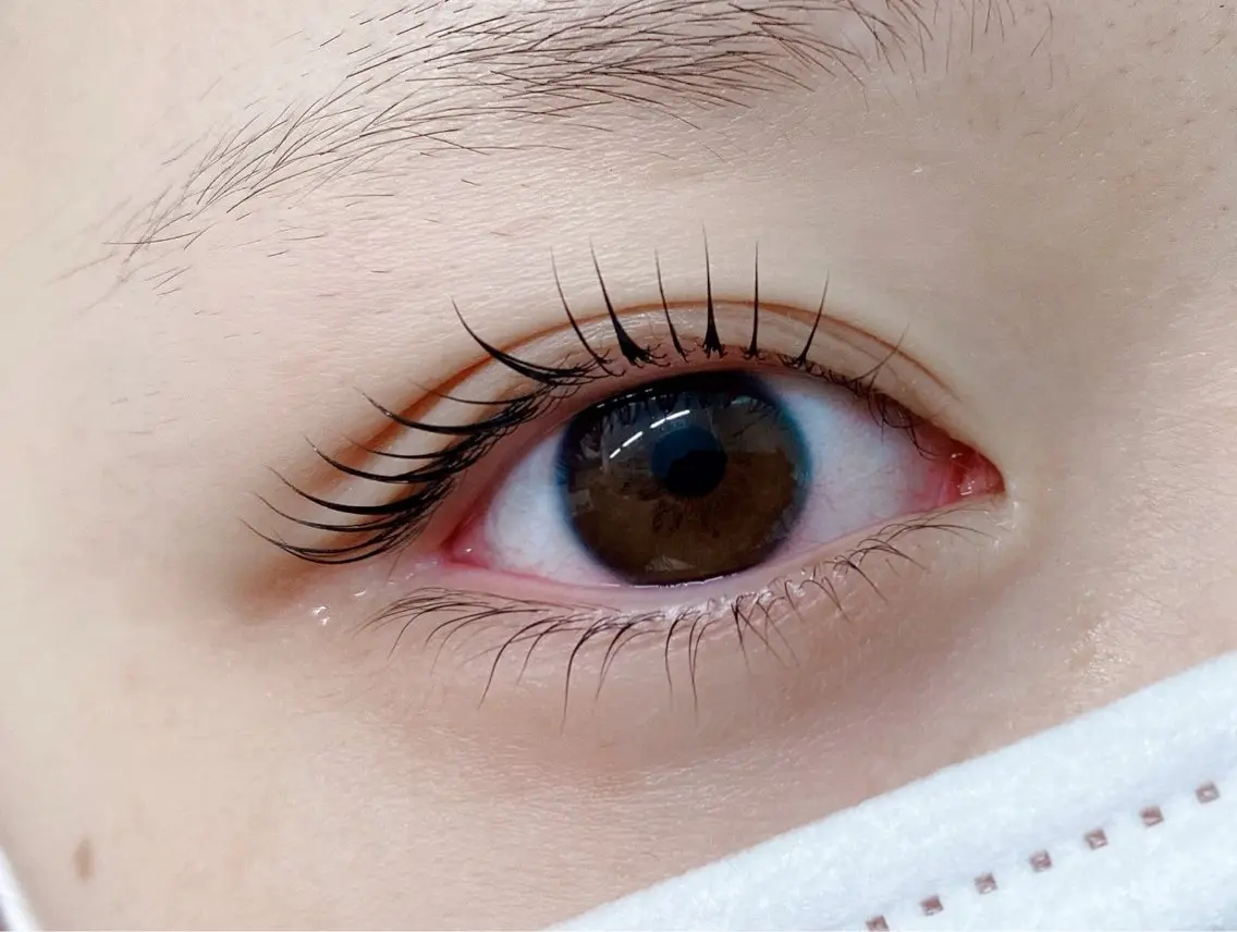 マツエク・マツパ マツパ まつ毛パーマ専門& men's眉AYAの眉毛・アイブロウイメージ