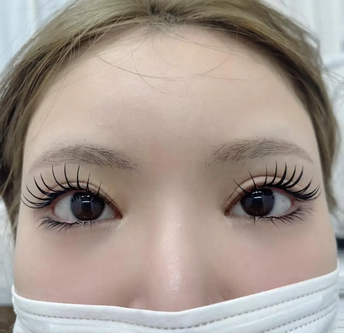 マツエク・マツパ バインドロック フラットラッシュ 韓国風マツエク パリジェンヌラッシュリフト まつげパーマ Vivi💜マツエク 🐈‍⬛新大久保のマツエク・マツパデザイン