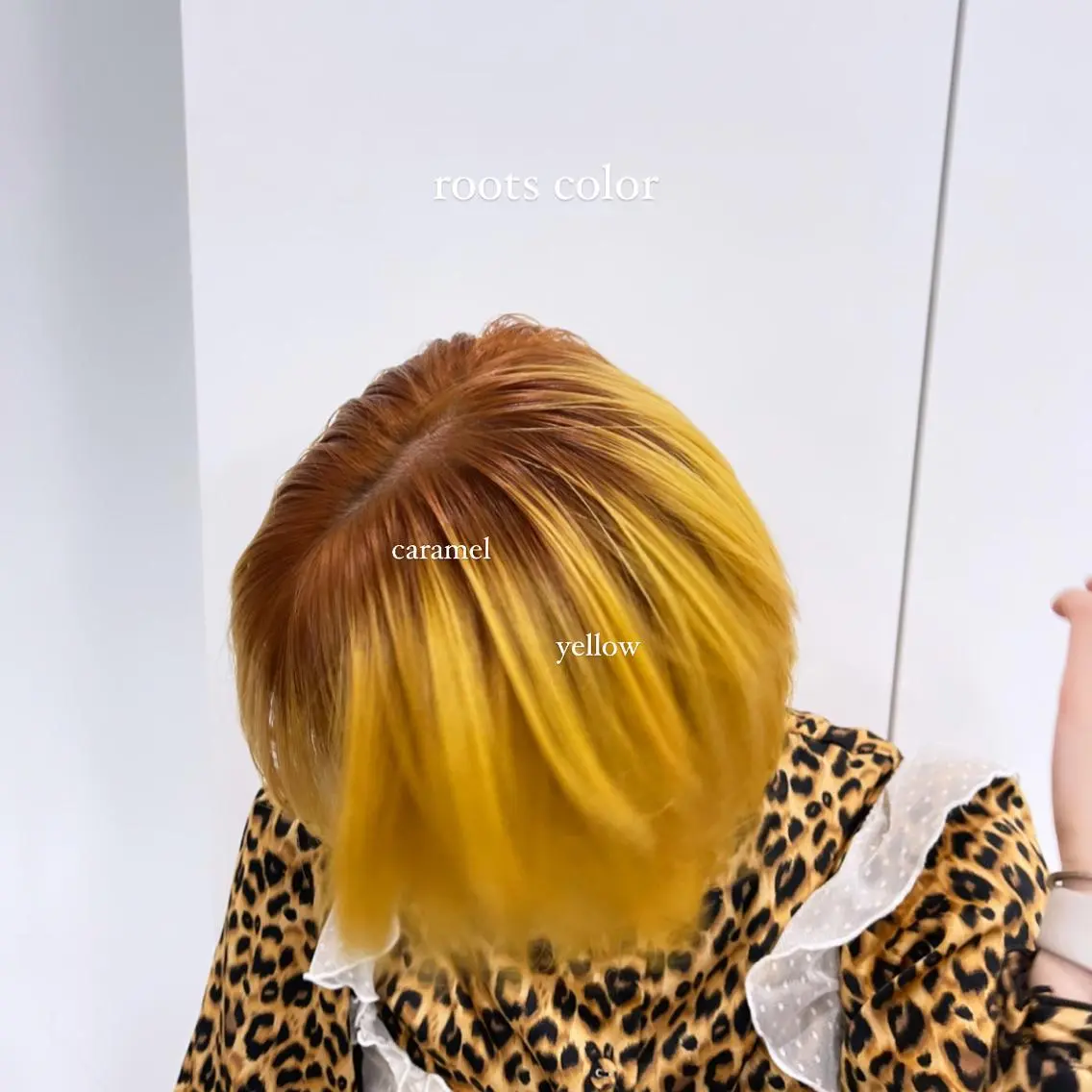 ロング カラー 𝘳𝘺𝘰𝘬𝘢 髪質改善／ブリーチのヘアスタイル