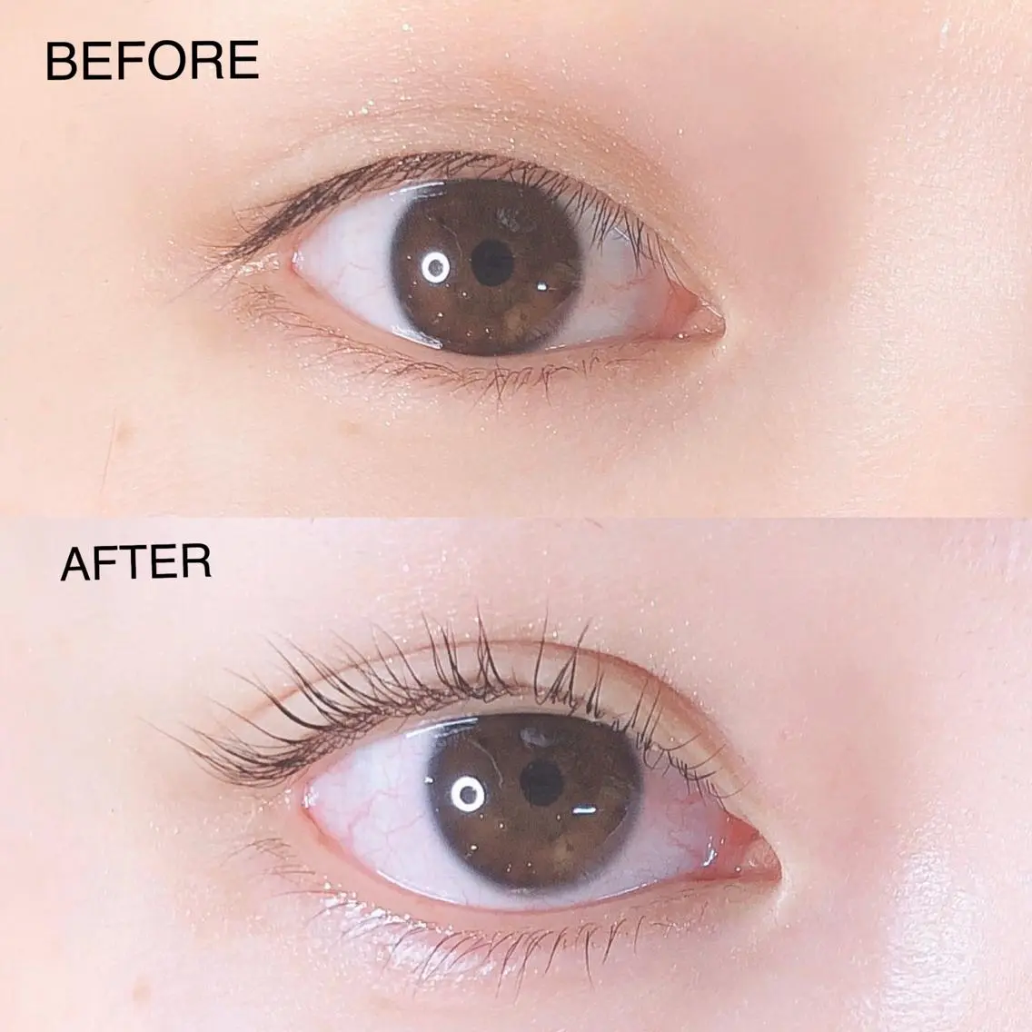 マツエク・マツパ パリジェンヌラッシュリフト まつげパーマ Chipieee iLaの眉毛・アイブロウイメージ