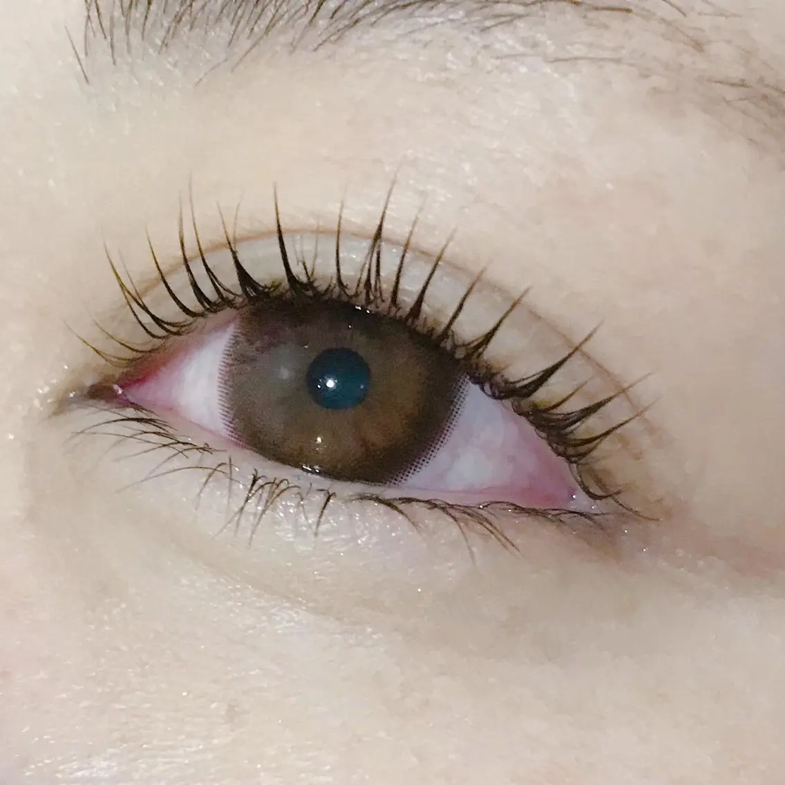 マツエク・マツパ eyelash catwinkのマツエク・マツパデザイン