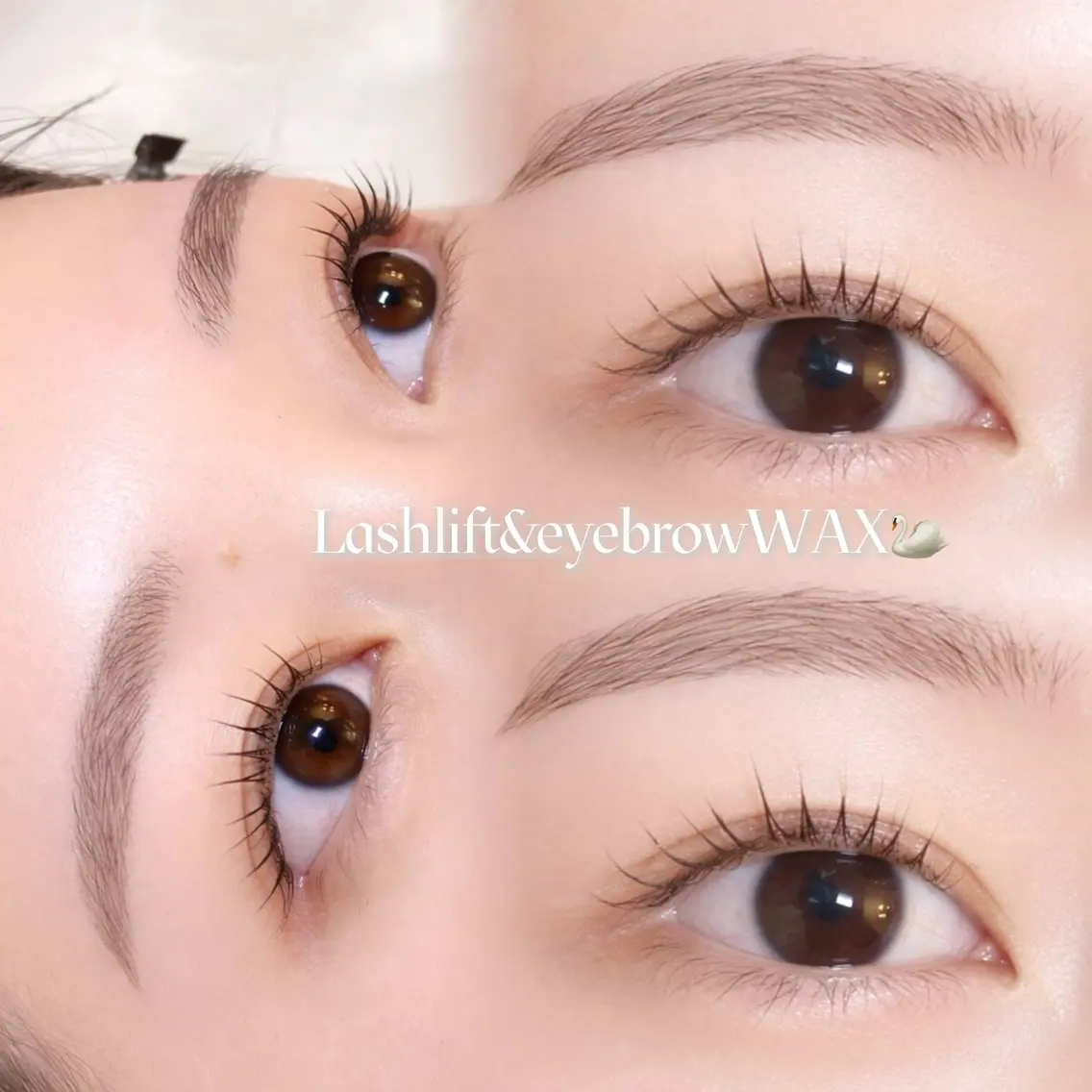 【新規限定クーポン✨️】【SET割】人気No1似合わせパリジェンヌラッシュリフト+眉WAX💐🤍の写真