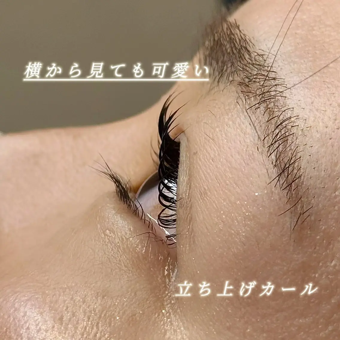 【当日予約限定】 まつげパーマ(トリートメント付き♪)¥4980の写真