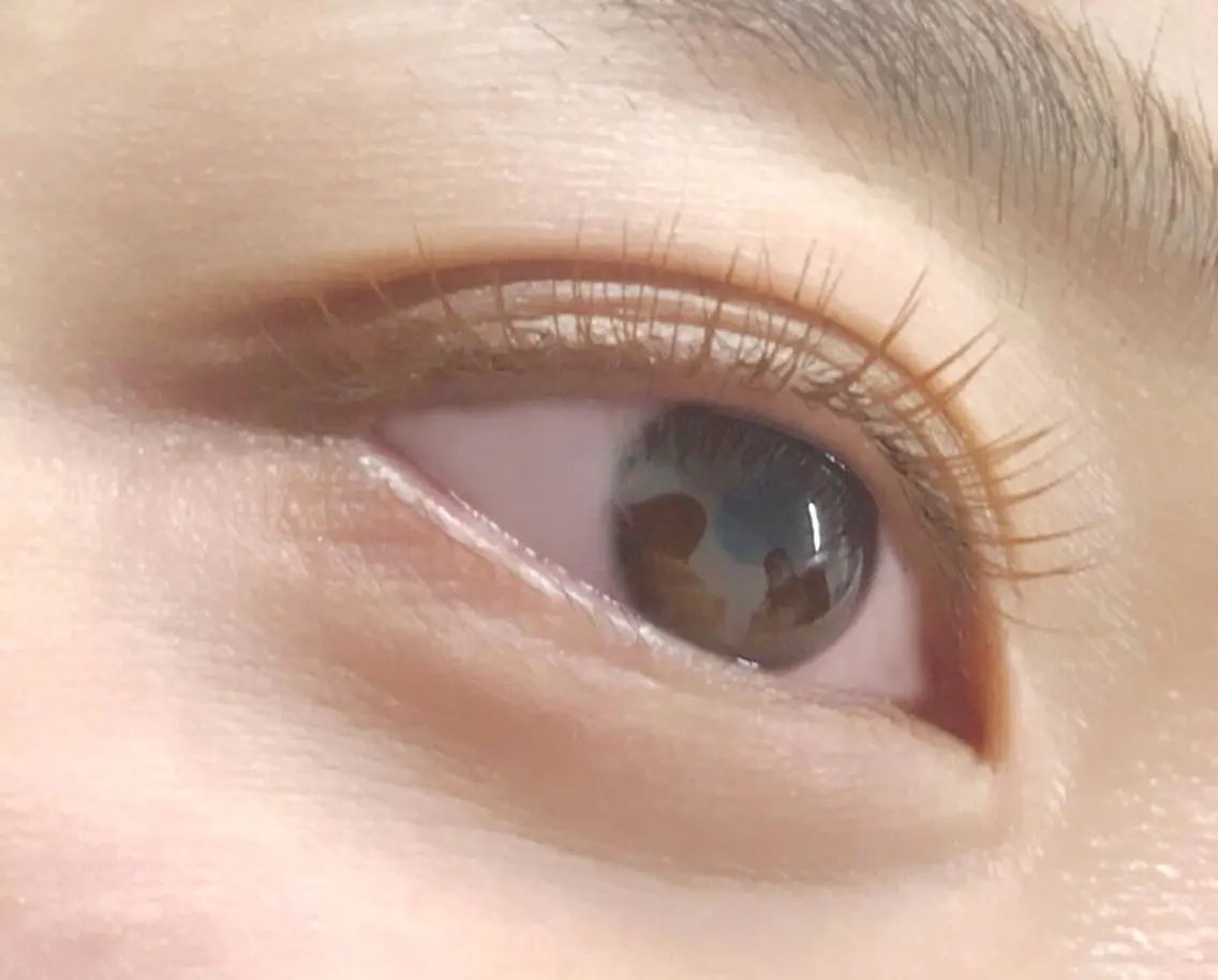 フラットラッシュ100本【カラーに変更可能】の写真