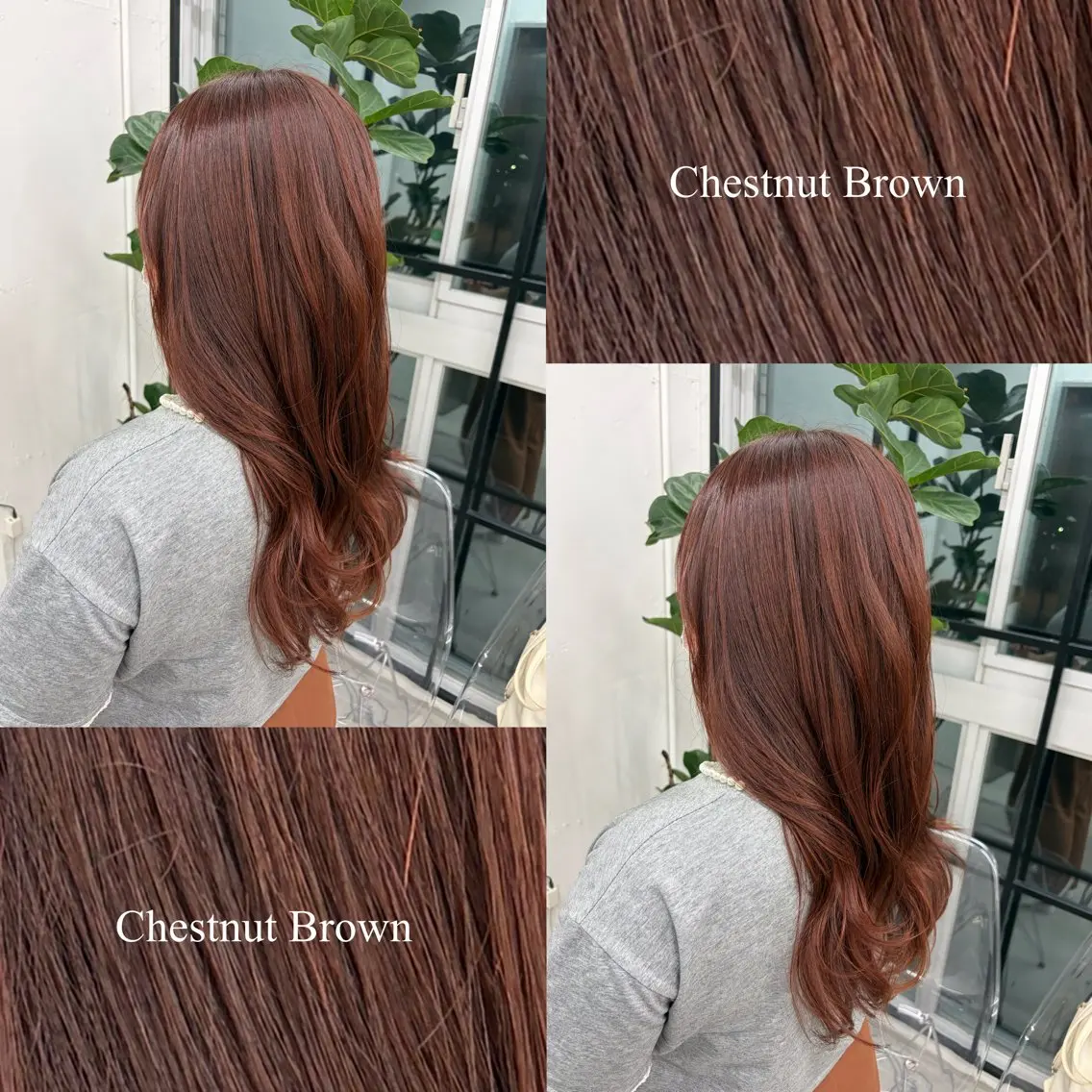 セミロング カラー ブラウンカラー チェスナットブラウン 透明感カラー マロンブラウン レッドカラー カット ヘアカラー 🍊あすか🍊 JILLSTUDIOのヘアスタイル