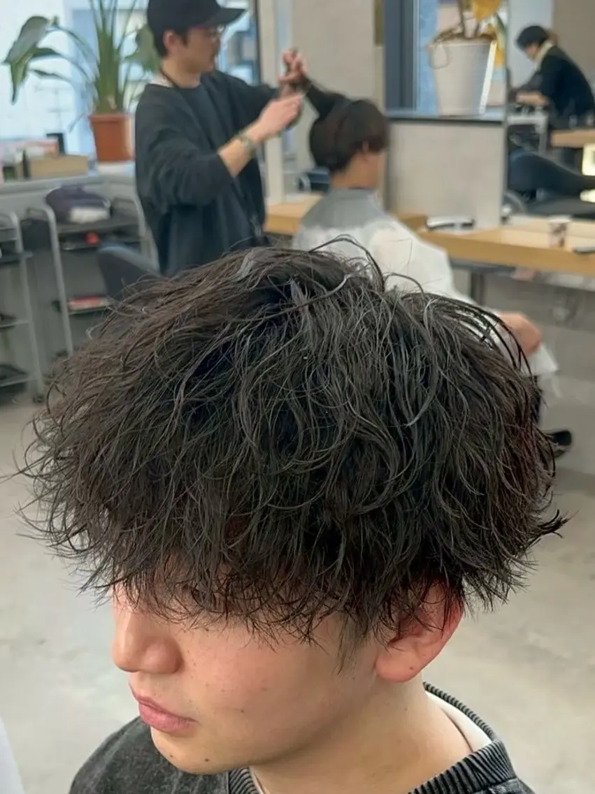 パーマ メンズ 青栁 仁也のヘアスタイル