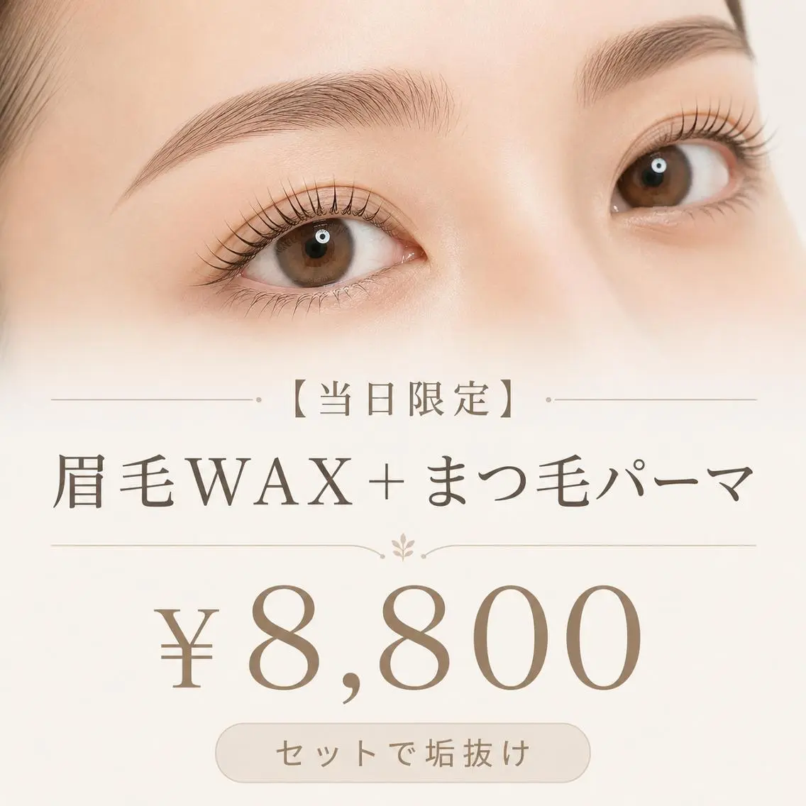 【当日限定⭐️直前割】🤎 眉毛ワックス&間引きカット＋まつげパーマorパリジェンヌ 👀🤎の写真