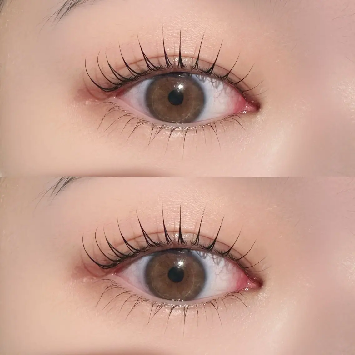 Lash Lift (まつ毛パーマ)の写真