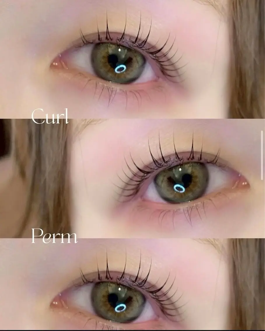 マツエク・マツパ まつげパーマ 一重×まつ毛パーマ マツパ まつ毛パーマ/眉毛 SAKI 16° 栄の眉毛・アイブロウイメージ