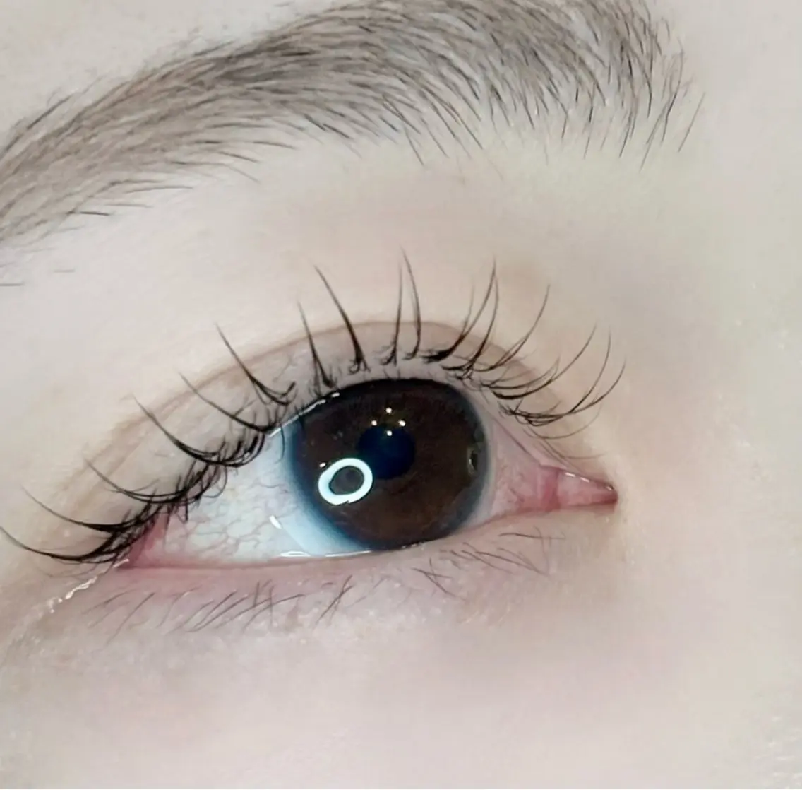 【撮影モデル募集】まつげパーマ&フラットラッシュ60本の写真