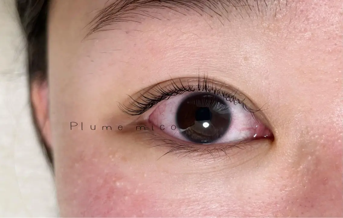 マツエク・マツパ マツパ Plume micoのマツエク・マツパデザイン