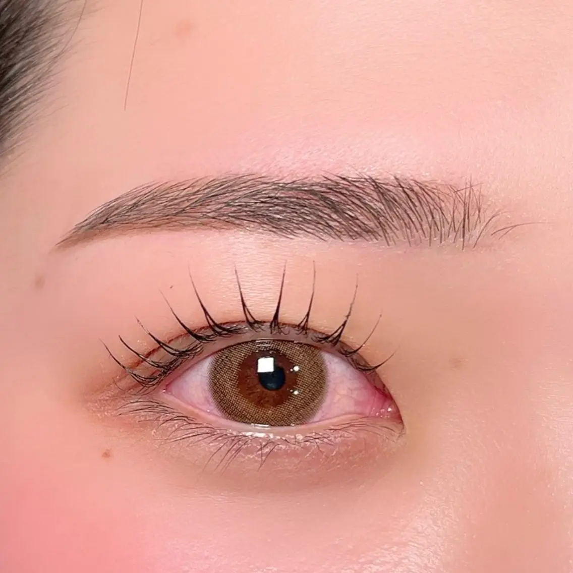 【期間限定❄ミニモ学割❗】まつげパーマ&アイブロウWAX(トリートメント&眉メイク付🪽)の写真