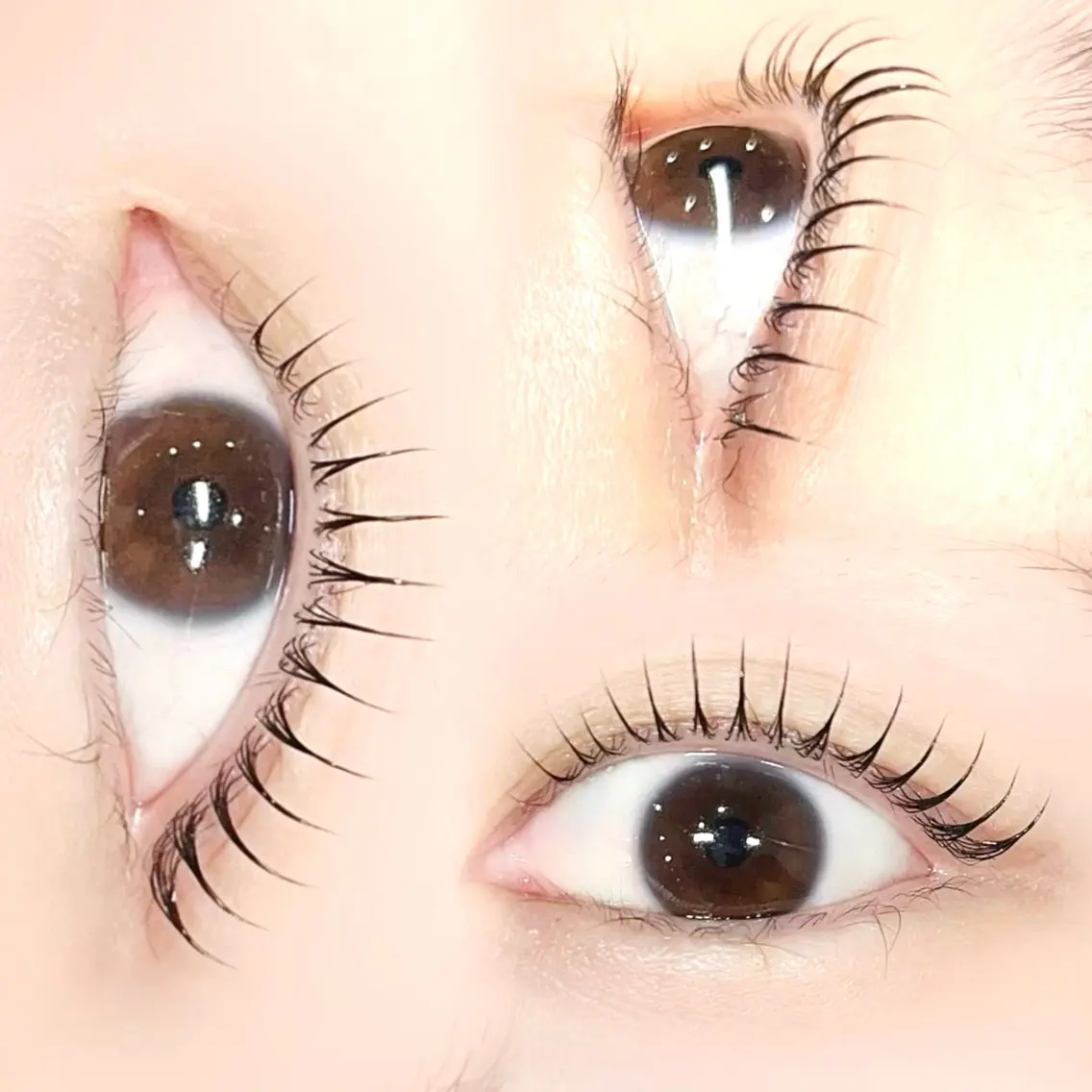 マツエク・マツパ まつげパーマ eyelash Ronguiのマツエク・マツパデザイン