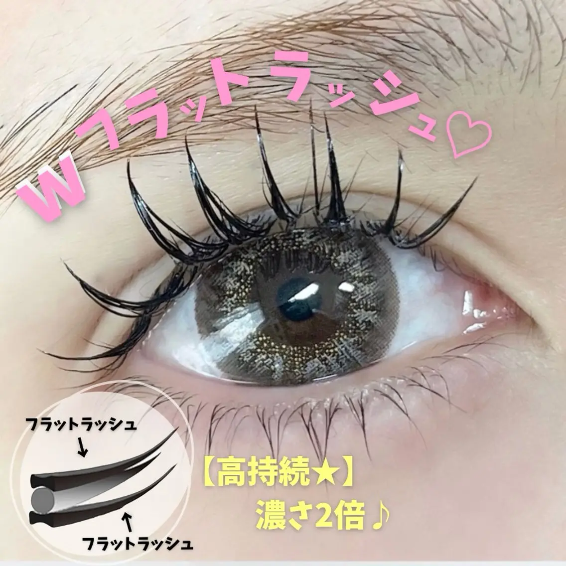 Wフラットラッシュ【80束】（160本）の写真
