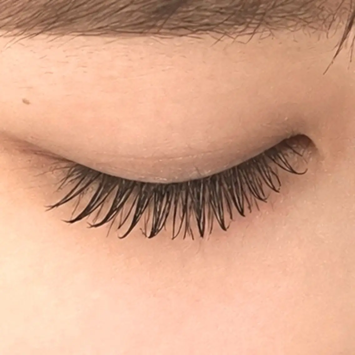 マツエク・マツパ ケラチンラッシュリフト マツエク まつげ|まゆげ| 新規受付開始🌿のだのマツエク・マツパデザイン