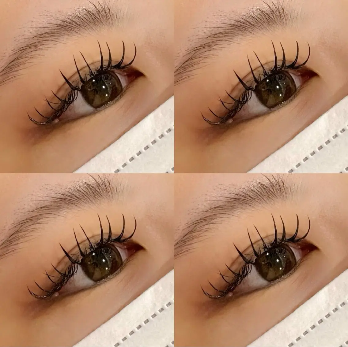 マツエク・マツパ マツエク prize Iris 🤍rionのマツエク・マツパデザイン