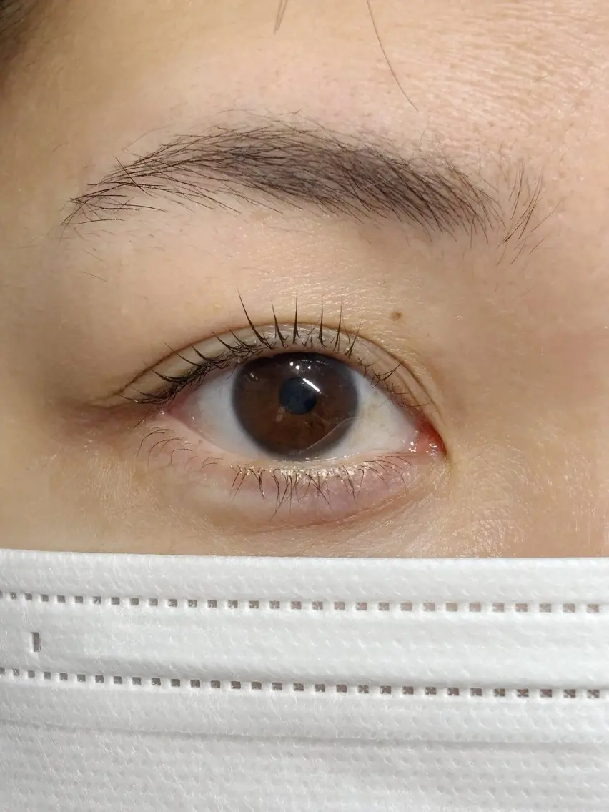 マツエク・マツパ na モデル募集の眉毛・アイブロウイメージ