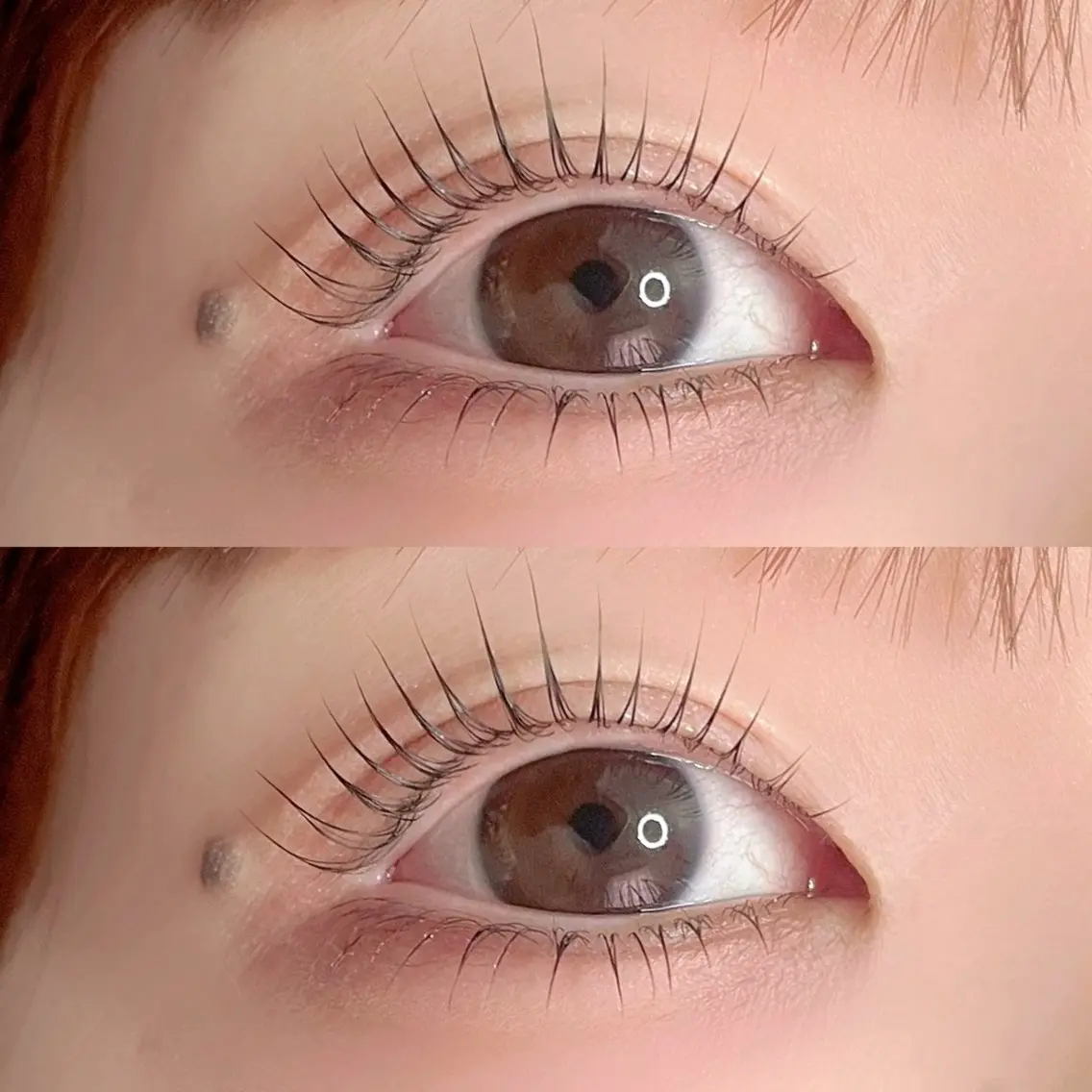 【大人気ぱっちりeye👀🩵】パリジェンヌ+下まつげパーマ9000円の写真