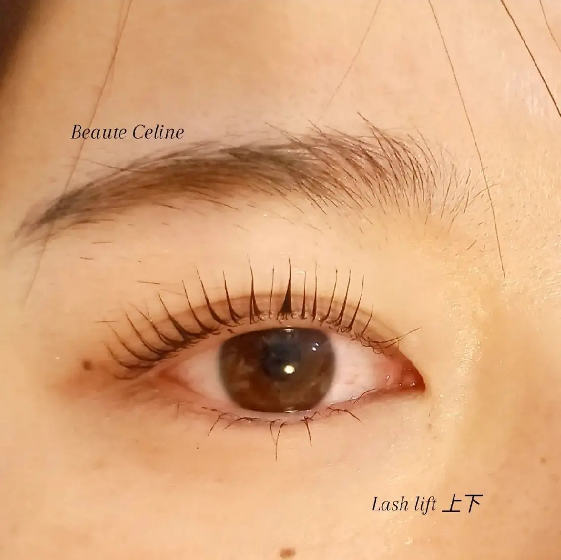 マツエク・マツパ マツパ LED✨beaute Celine🌛🌹のマツエク・マツパデザイン