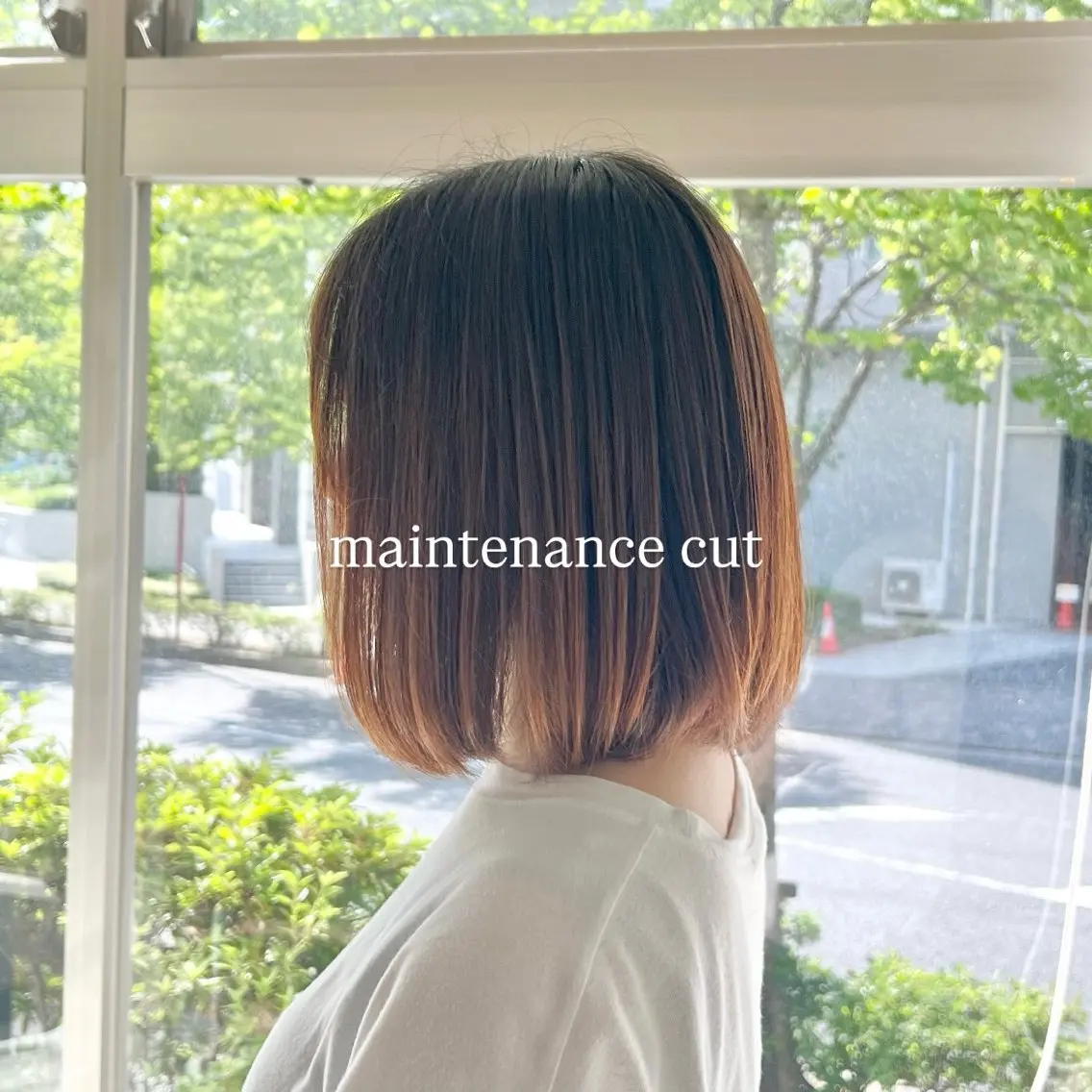🫧レディース限定🫧メンテナンスカット➕シャンプーの写真