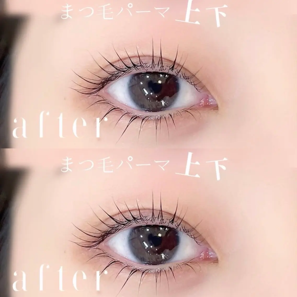 上下まつげパーマ🌸【選べるデザイン♡】トリートメント付き𖤐⋆の写真