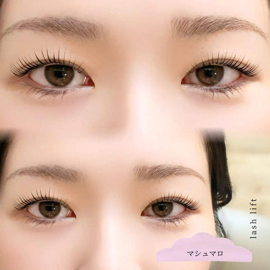 マツエク・マツパ 束感まつ毛 マツパ ｵｰﾅｰ ELLY 🍸eyelly横浜の眉毛・アイブロウイメージ