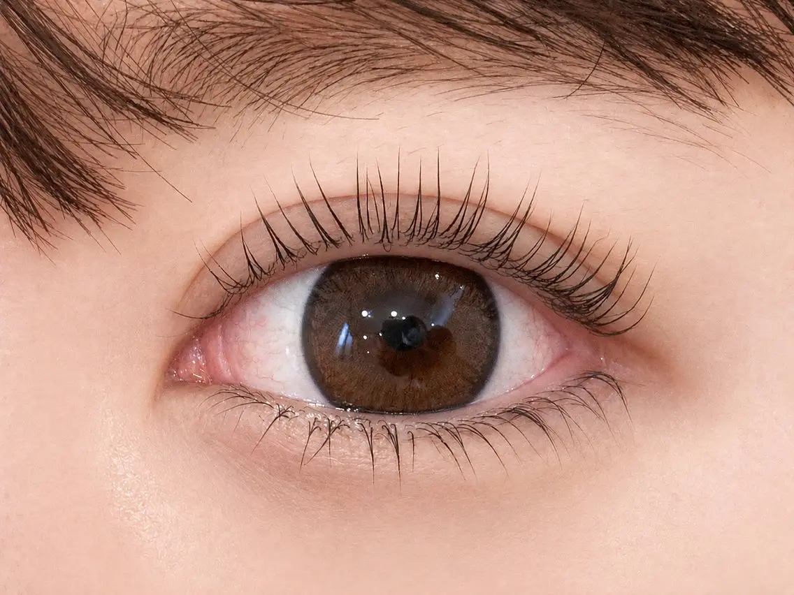 ≪オフ込≫ 限定次世代まつげパーマ 上下"パリジェンヌラッシュリフト"👀の写真