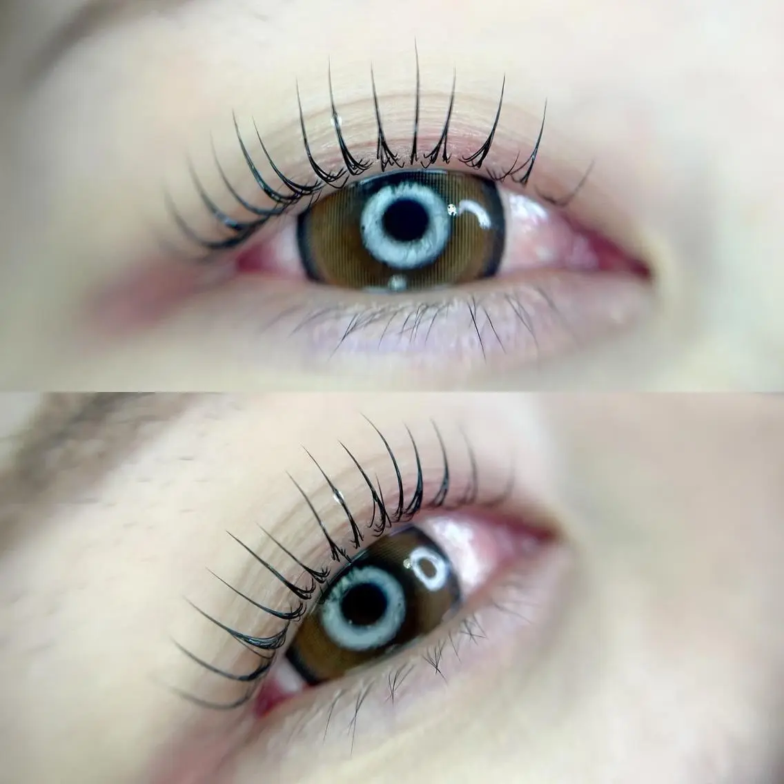 【minimo限定ご新規様】LashLift/まつ毛パーマの写真