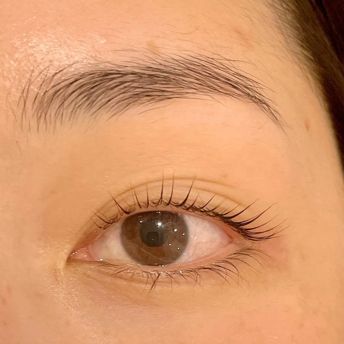 リピーター様🧸セットがお得✨眉WAX＋まつ毛パーマ(※パリジェンヌラッシュリフトは追加300円で承ります)の写真
