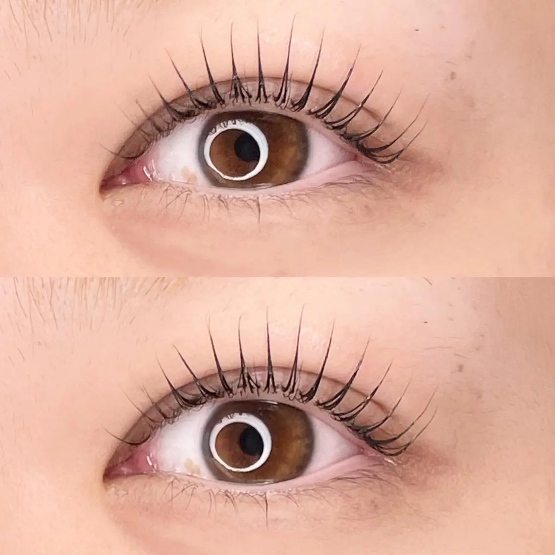 期間限定⚠️人気No.1メニュー♡マツパ✖️眉毛ワックス【お目元完璧コース👀💕】※マツパをパリジェンヌに変更可能🉑の写真