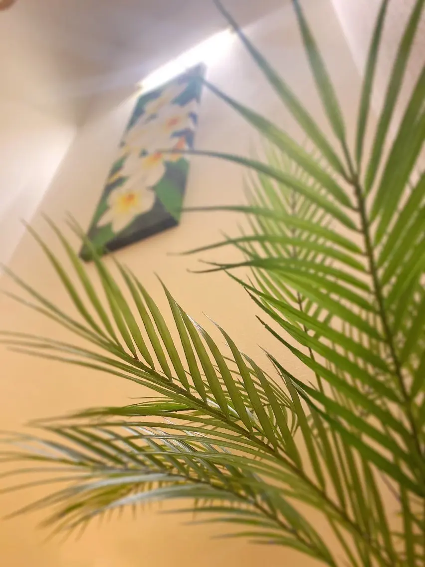 その他 🌿SWEET VILLAS🌿のその他イメージ