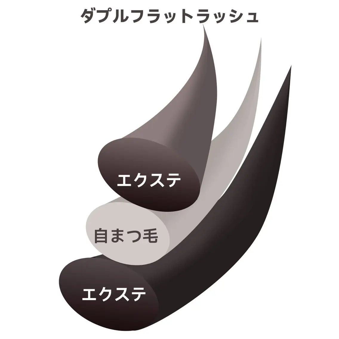 LED 【ダブルフラットラッシュ】最高の持ち&ボリューム感★80束160本¥7980の写真