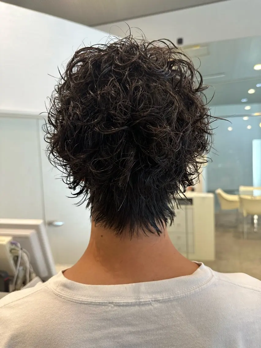 パーマ メンズ メンズパーマ メンズウルフカット ウルフカット メンズカット 井上　凜太郎のヘアスタイル
