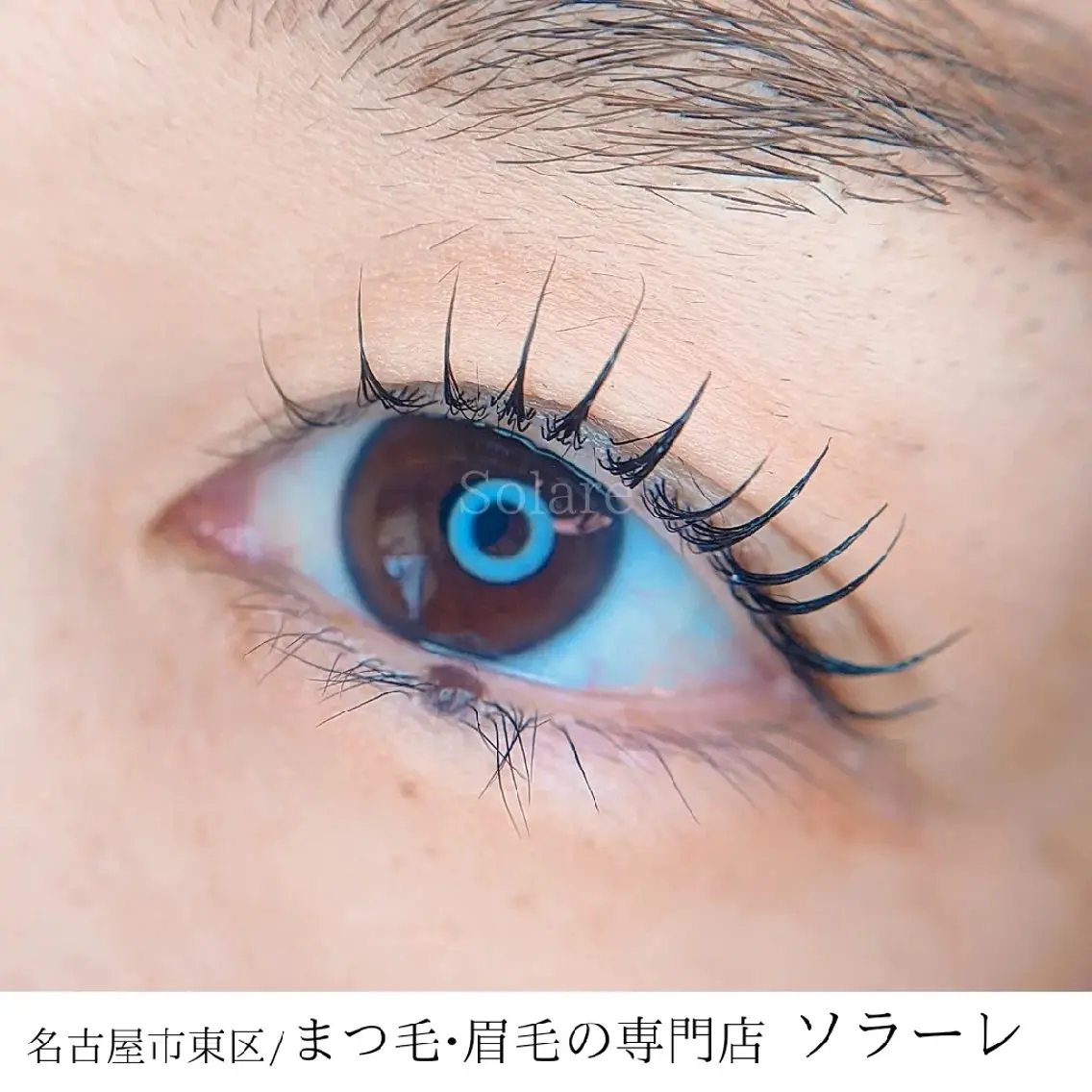 秋限定保湿たっぷりまつ毛パーマの写真