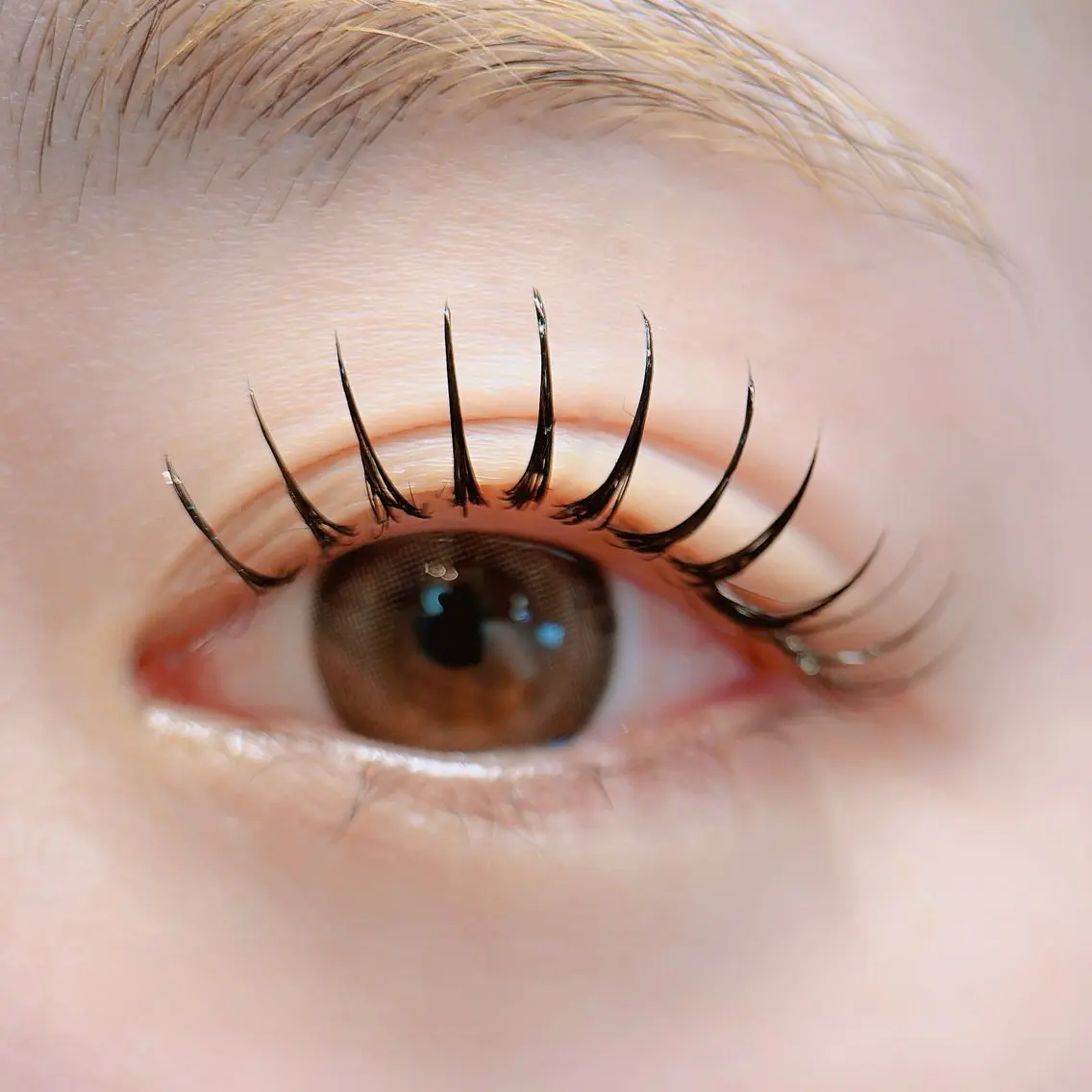 マツエク・マツパ マツエク eye salon Dのマツエク・マツパデザイン