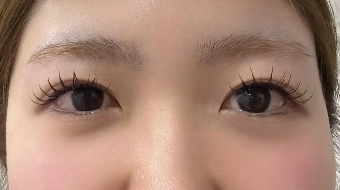マツエク・マツパ フラットラッシュ 韓国風マツエク パリジェンヌラッシュリフト まつげパーマ 下まつげエクステ Vivi💜マツエク 🐈⬛新大久保のマツエク・マツパデザイン