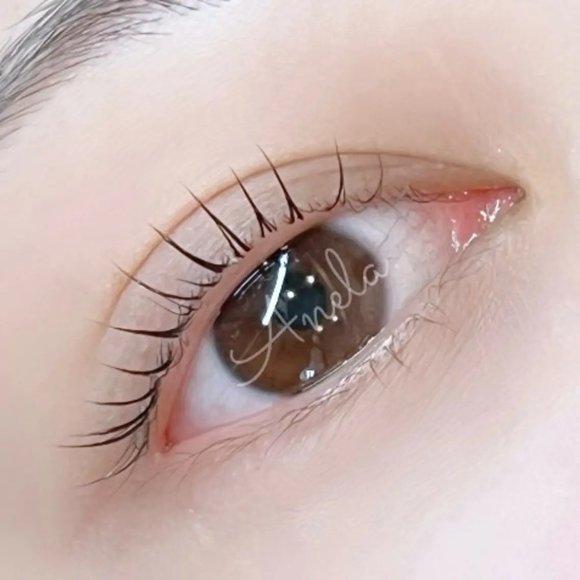 🍀6月限定🍀【当店1番人気】ラッシュリフト👀¥4700の写真