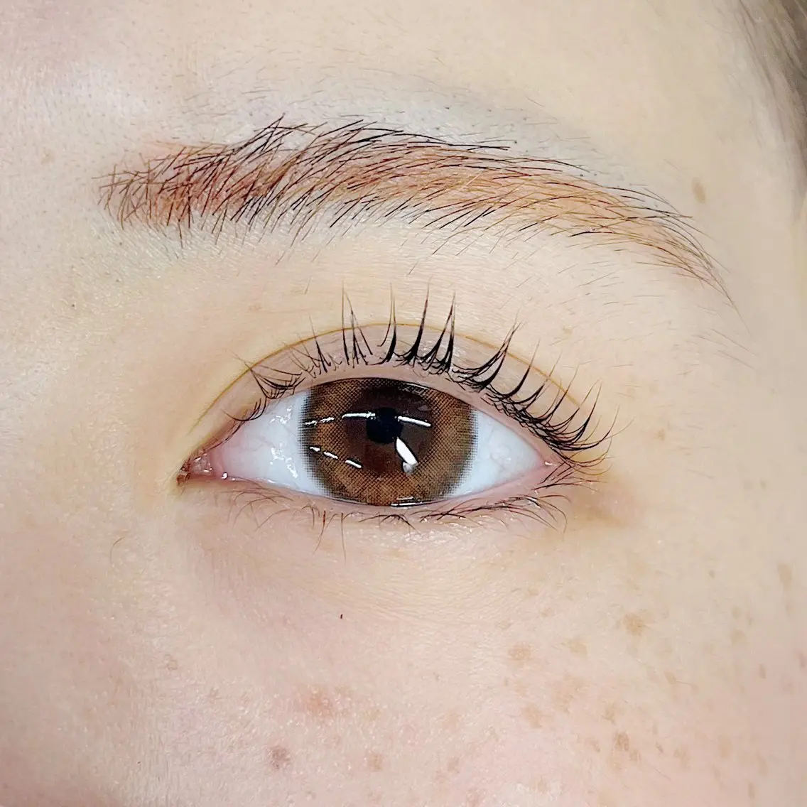 マツエク・マツパ eyelash / mizukiの眉毛・アイブロウイメージ