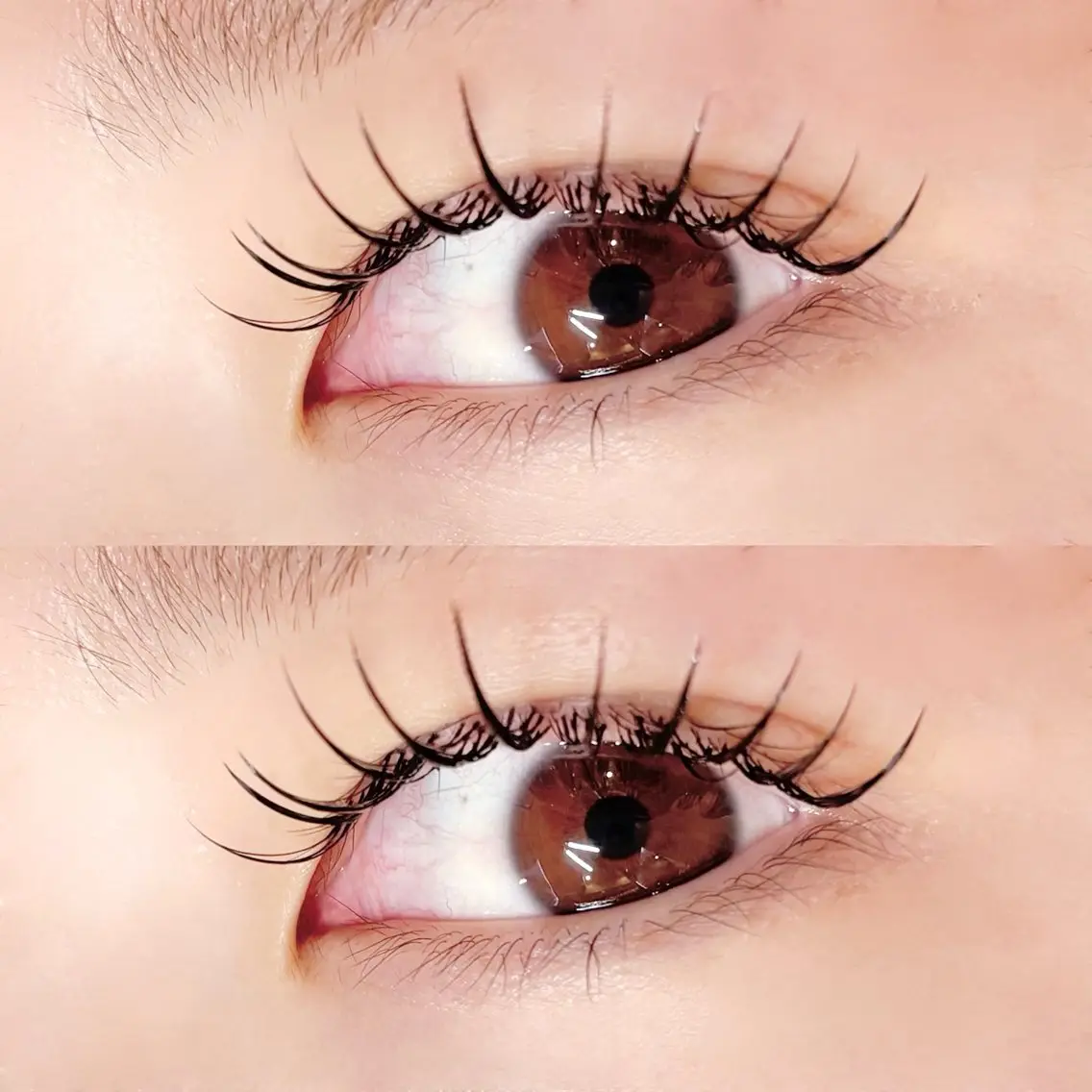 マツエク・マツパ フラットラッシュ マツエク Pupu lash ‪ ꪔ̤のマツエク・マツパデザイン