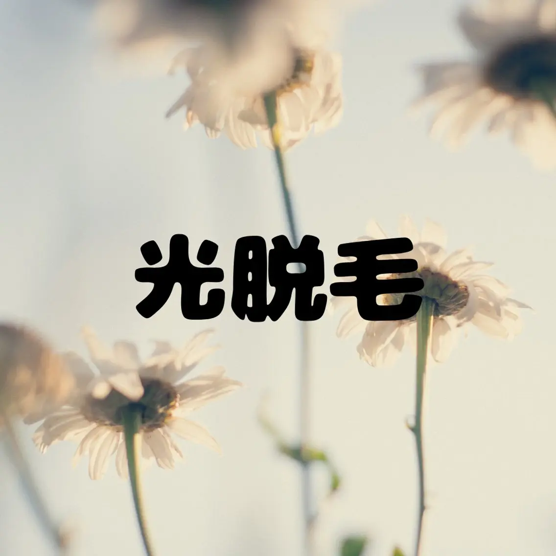 【男性:ご新規様】🕯ヒゲ光脱毛🕯の写真