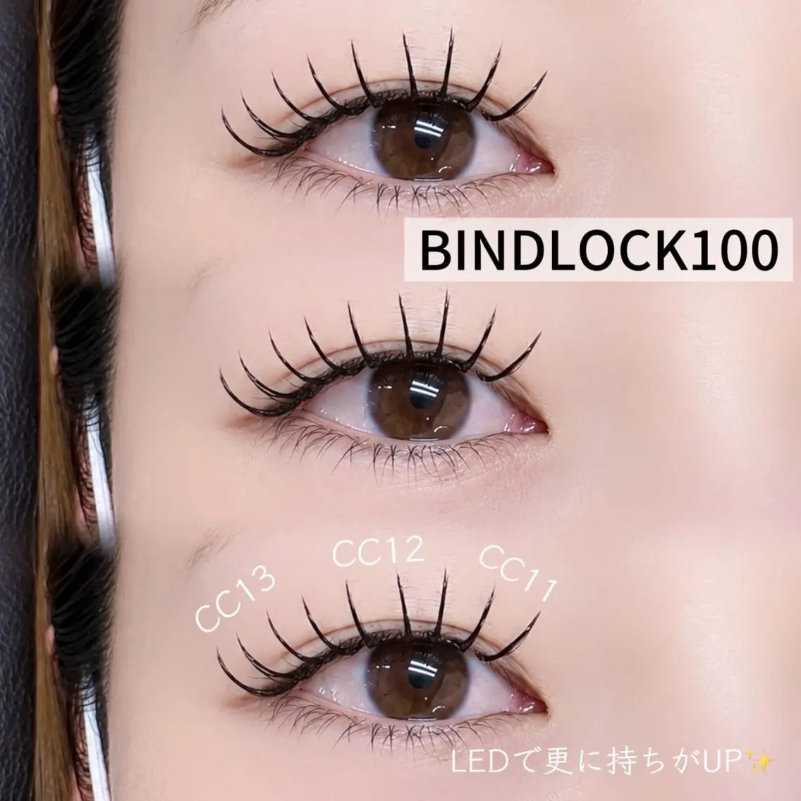 【✨ボリューム×持続力◎✨】マツエク＊バインドロック100束💃 ¥7623→¥6413の写真