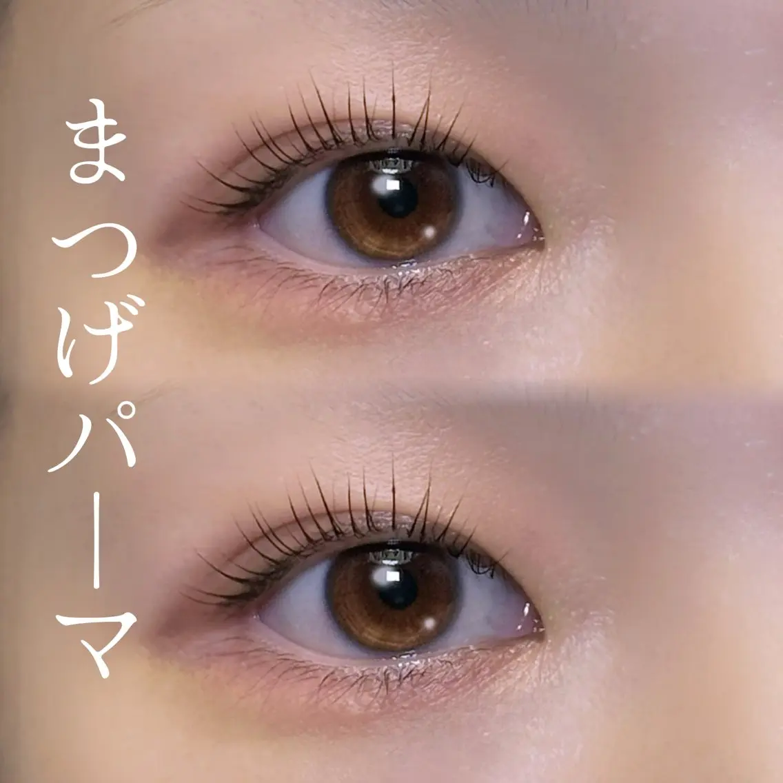 マツエク・マツパ ナチュラル パリジェンヌラッシュリフト まつげパーマ マツパ プライベートサロン 楚々のマツエク・マツパデザイン